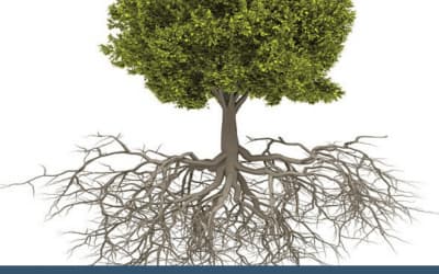 The Non-Diet Approach: What is it exactly?